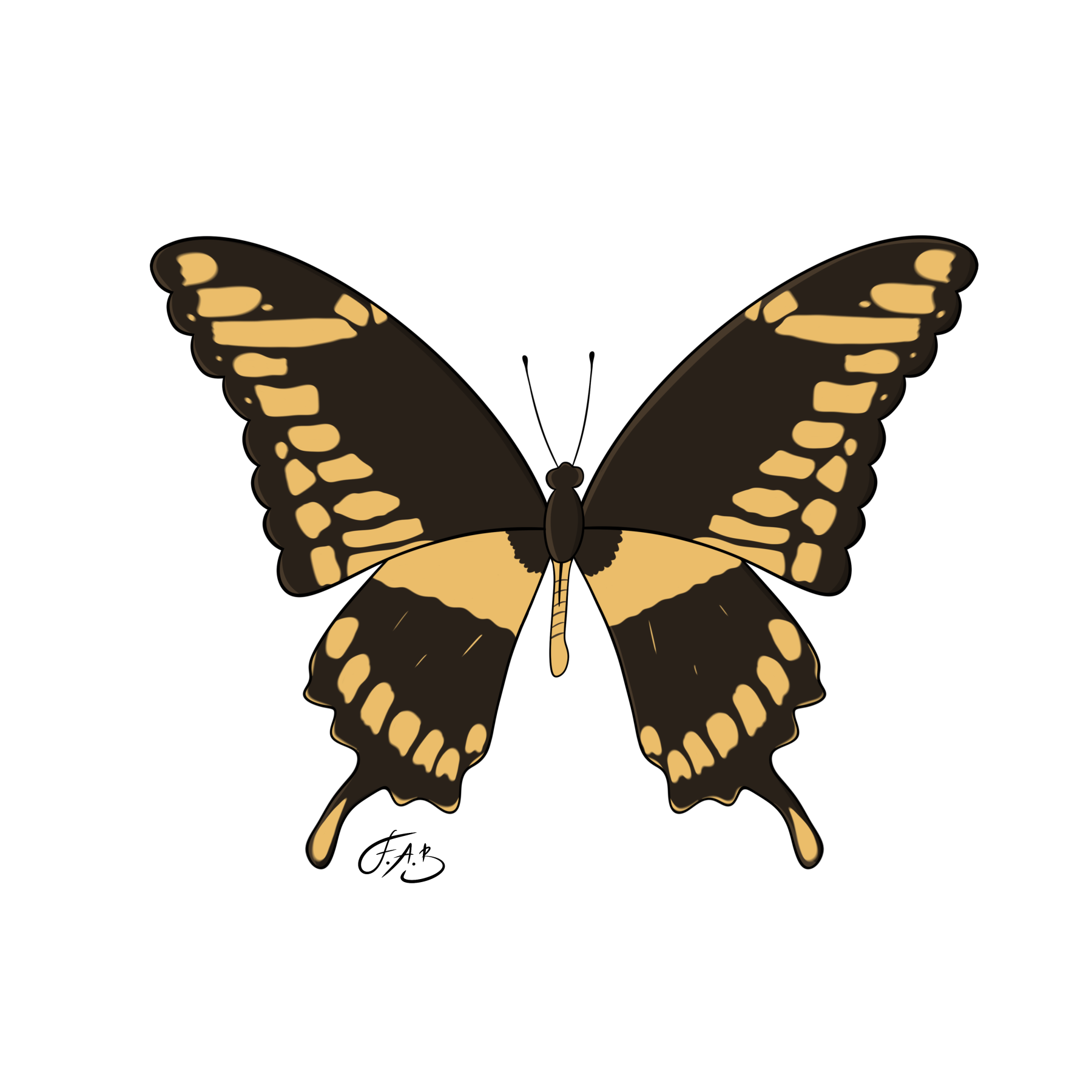 Giant Swallowtail Butterfly — version 4
