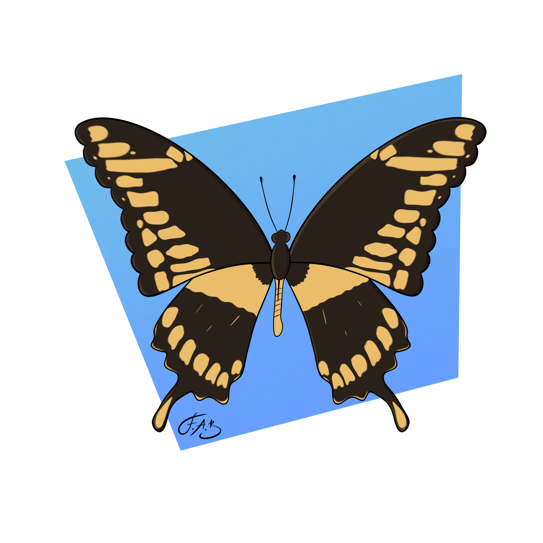 Giant Swallowtail Butterfly
