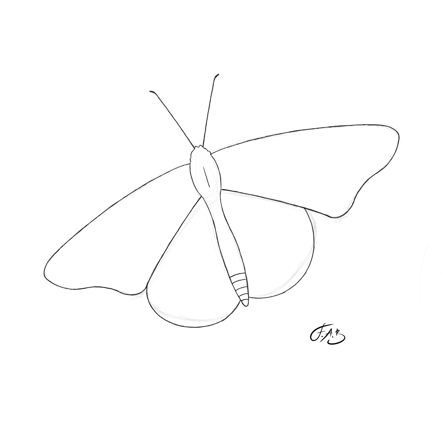 Monarch Butterfly — version 1