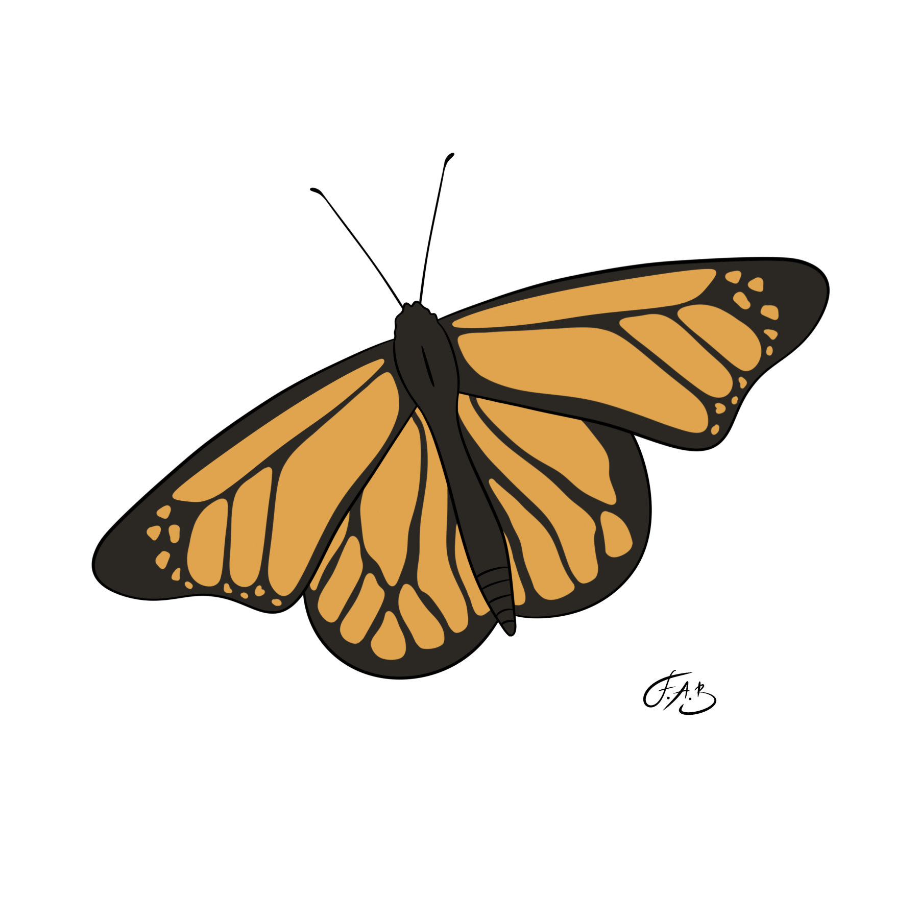 Monarch Butterfly — version 3