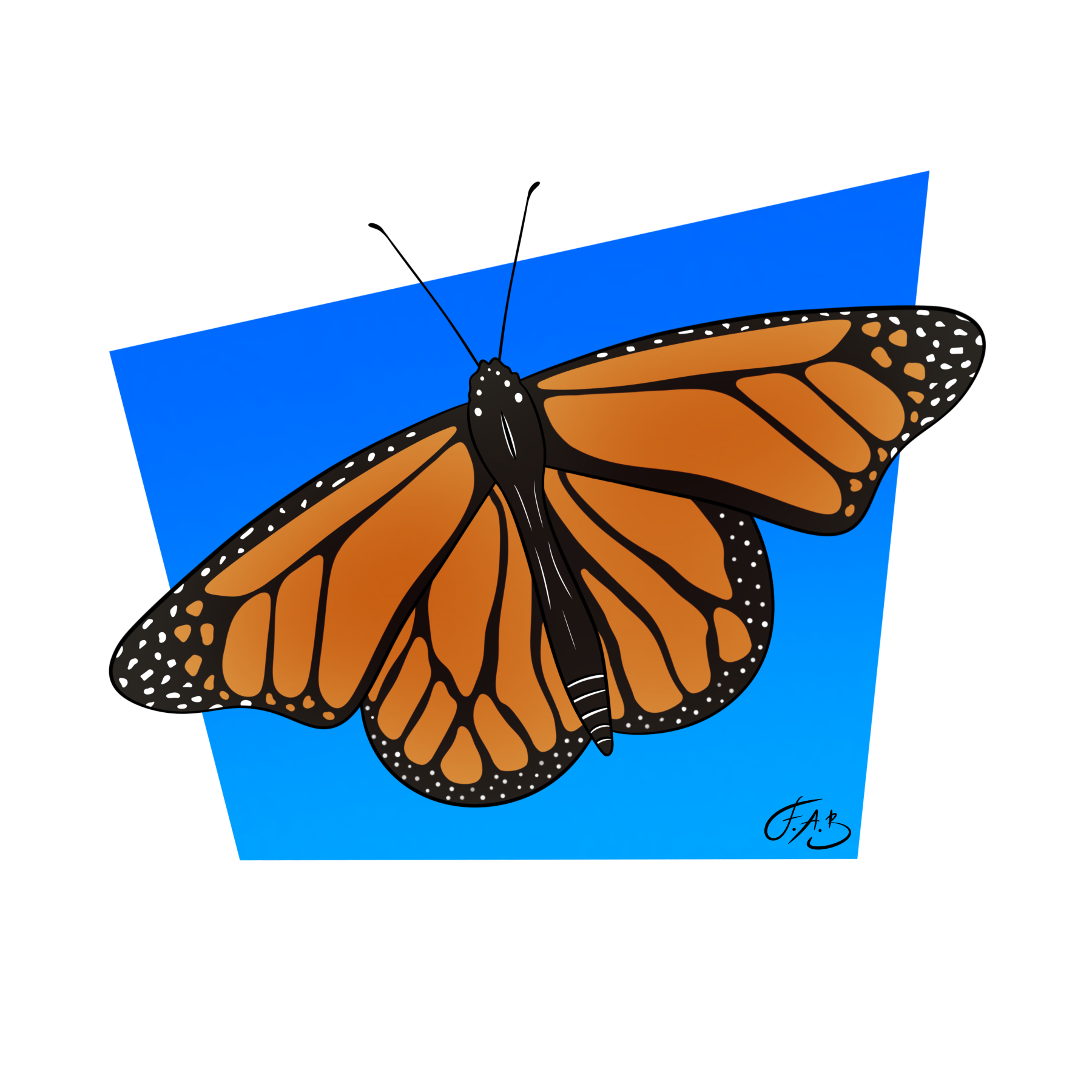 Monarch Butterfly