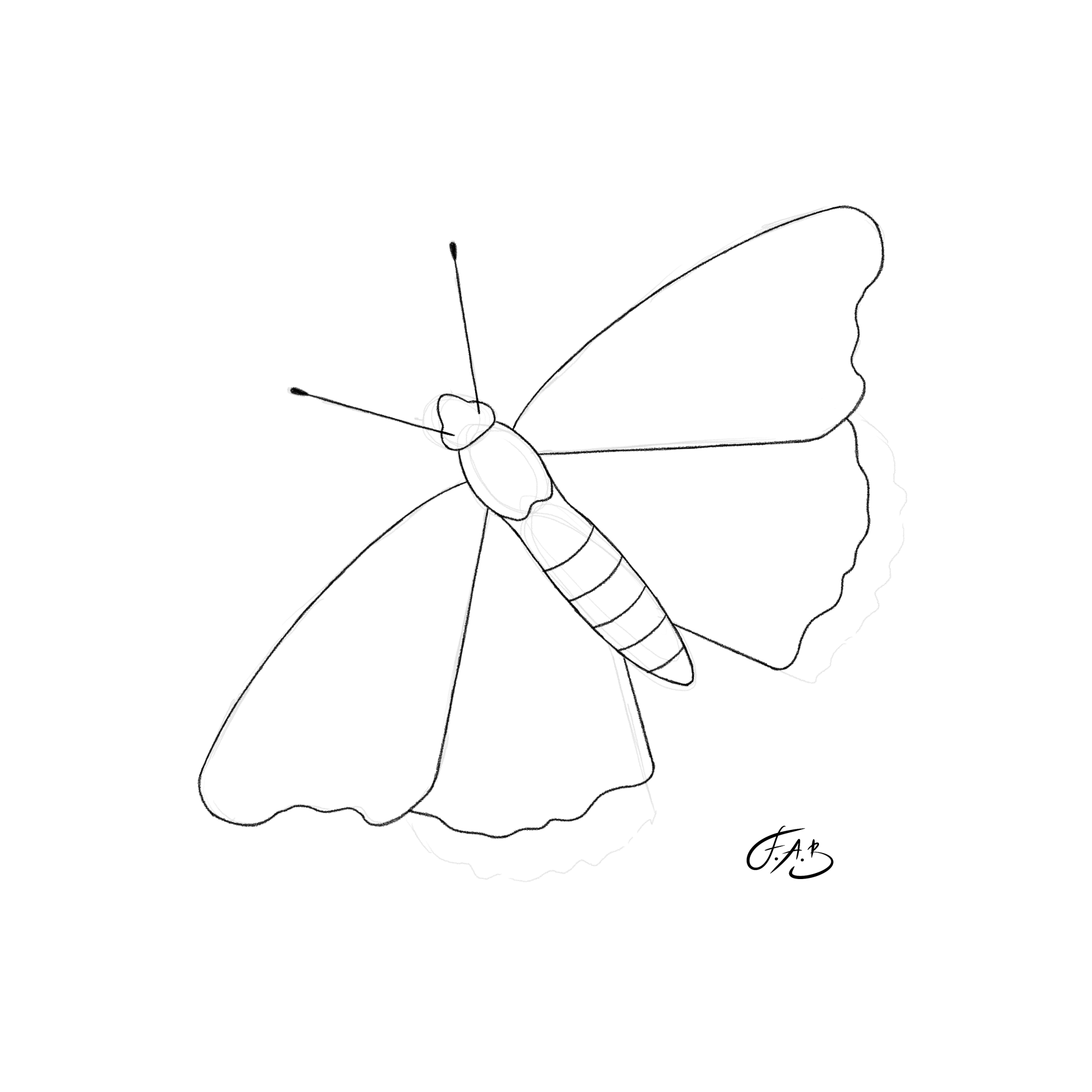 Red Admiral Butterfly — version 1
