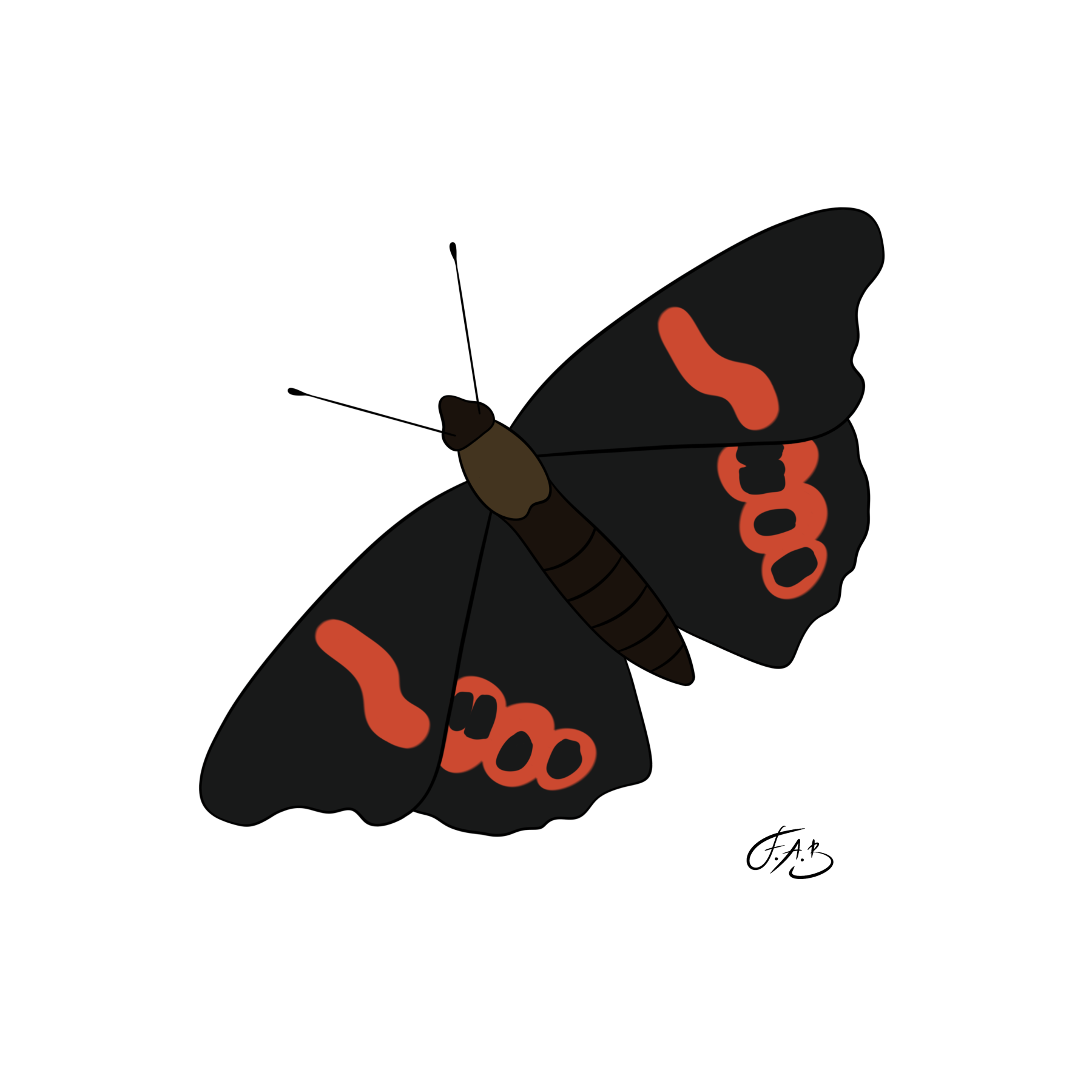 Red Admiral Butterfly — version 3